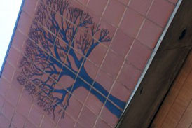 Monrovia-Tree-274-183